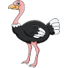ostrich