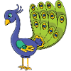 peacock