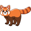 Red panda