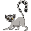 lemur