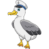 gull
