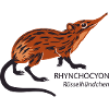 Ruesselhuendchen
