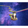 Mignon chat tigré dans l’espace