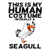 Möwe