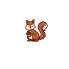 Eichhörnchen