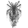 Fragmented Spider