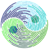 Yin Yang 01