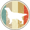 Flat Coated Retriever