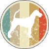 Irische Irish Terrier