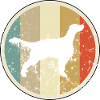Gordon Setter