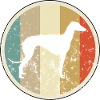 Galgo Español