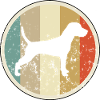 Parson Russell Terrier