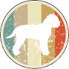Lagotto Romagnolo