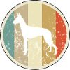 Podenco Windhund