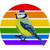 Blue Bird Rainbow Variety Songbird