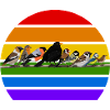 Have fugle regnbue fugl sort fugl elsker