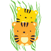 baby tigers