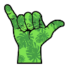 Green surf hand