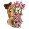 Irish Terrier with flowers