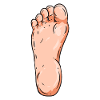 Fuß