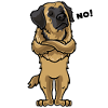 Sturer Leonberger Dog