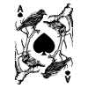 Krähe And The Ace Of Spade Occult Raven Death
