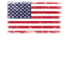Freedom American Flag