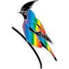 Oiseau