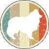 Shetland Sheepdog Sheltie