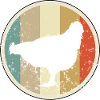 Huhn Hühner Henne