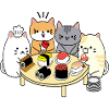 Cat Sushi