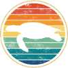 Turtle sea turtle