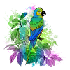Parrot