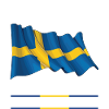 Swedish Swedish Sweden flag