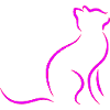 Katze