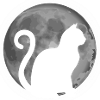 Cute cat silhouette moon animal