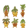 plant