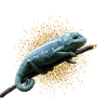 chameleon