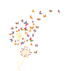 Löwenzahn bunte Schmetterling