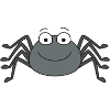 spider