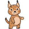 Lynx