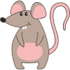 rat