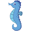 sea horse