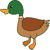 duck