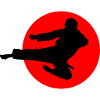 Karate Yokotobigeri