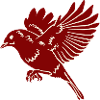 Vogel Vogelbeobachtung Tier Vogelillustration