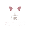 Frenchie Bulldog français Bulldog