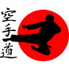 Karate Yokotobigeri