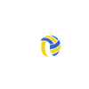 Volleyball volleyball heartbeat
