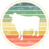 Kuh Kühe